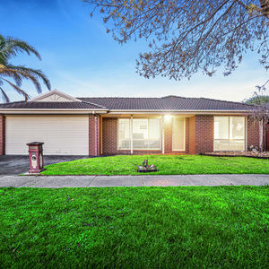 84 Cormier Pike Apt. 054 - Balgowlah heights