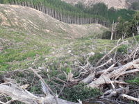 photo property thumbnail