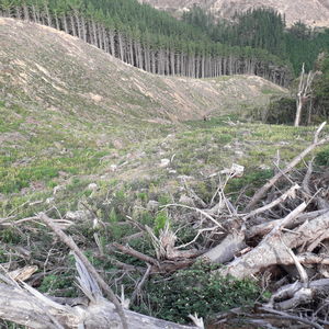 84 Cormier Pike Apt. 054 - Balgowlah heights