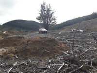 photo property thumbnail