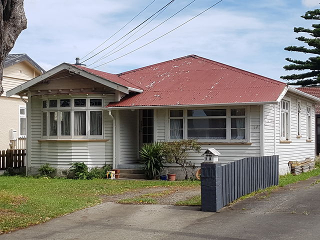14 Graham Street Petone