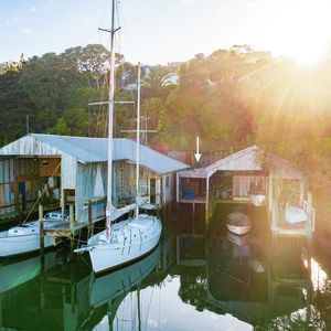 84 Cormier Pike Apt. 054 - Balgowlah heights