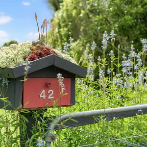 84 Cormier Pike Apt. 054 - Balgowlah heights