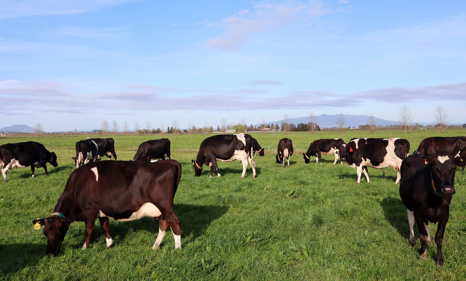 555 Wallace Road, Cambridge 9 Bed Rural For Sale