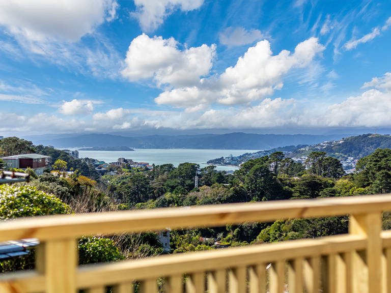 61 Mount Pleasant Road Aro Valley