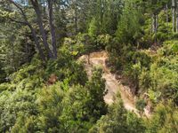 photo property thumbnail