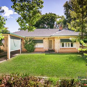 84 Cormier Pike Apt. 054 - Balgowlah heights