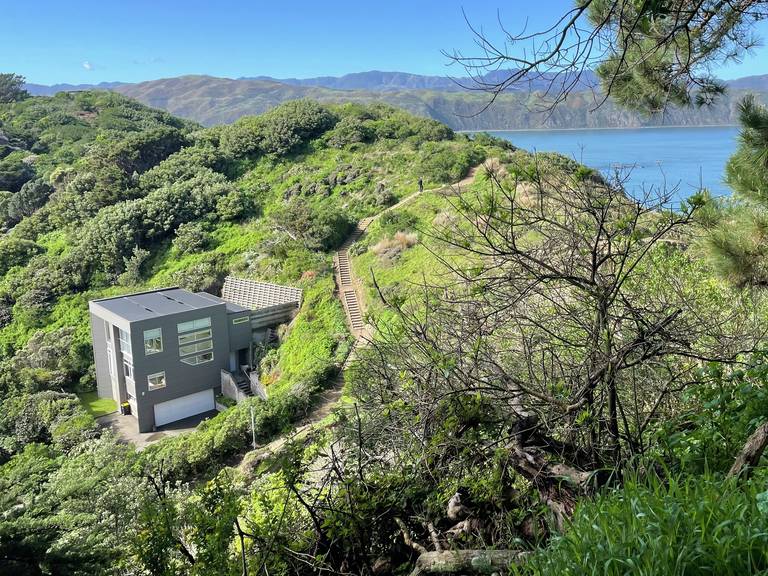 79 Mantell Street Seatoun