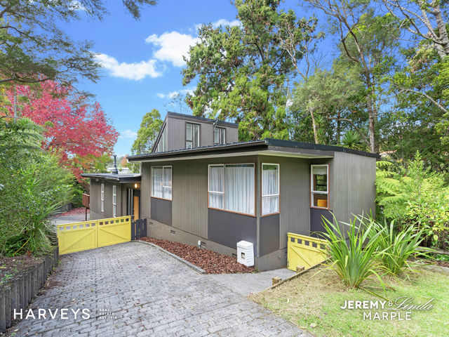 47 Daffodil Street Titirangi