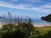 photo property thumbnail