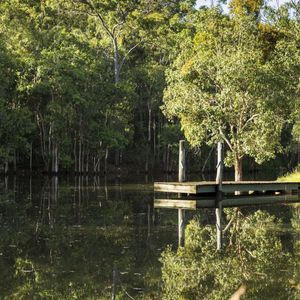 84 Cormier Pike Apt. 054 - Balgowlah heights