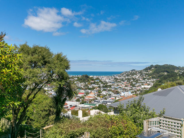 125 Rakau Road Hataitai