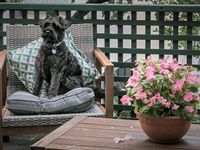 photo property thumbnail