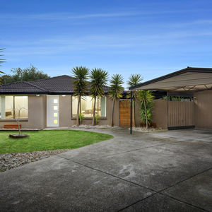 84 Cormier Pike Apt. 054 - Balgowlah heights