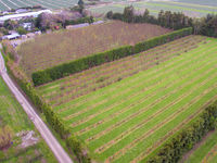 photo property thumbnail