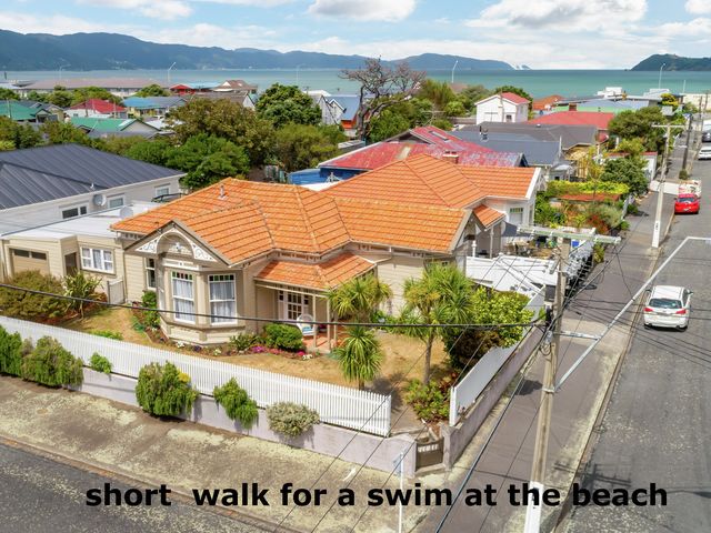 24 Buick Street Petone