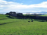 photo property thumbnail