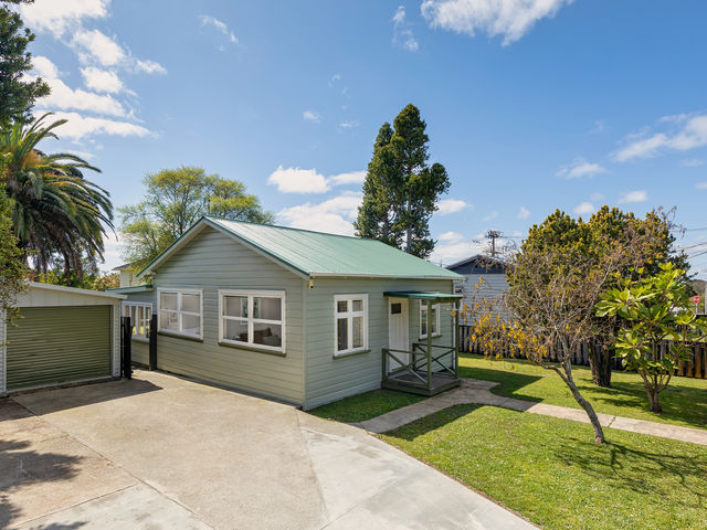 19 Rimu Street New Lynn