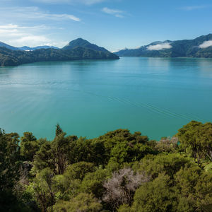 84 Cormier Pike Apt. 054 - Balgowlah heights