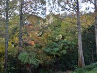 photo property thumbnail