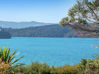 photo property thumbnail