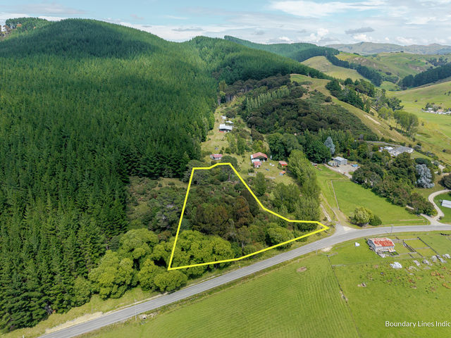 1/4101 Masterton Castle Point Rd, Tin Masterton