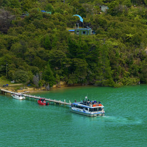 84 Cormier Pike Apt. 054 - Balgowlah heights