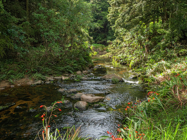 729 Puhipuhi Road Whakapara