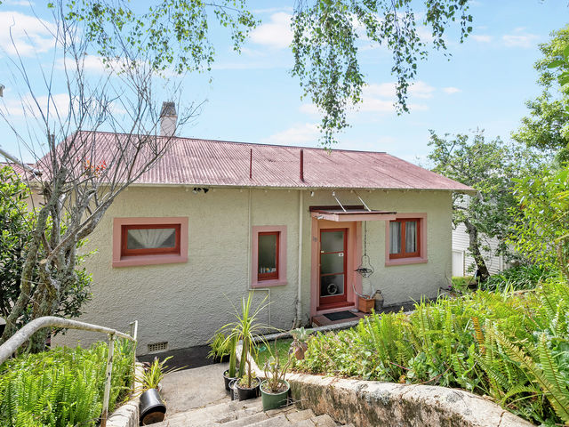 19 Benfield Avenue Mount Albert